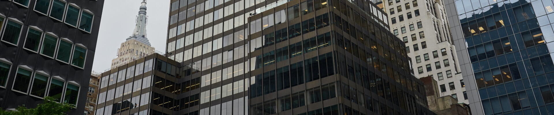 banner-commercial-packagepolicy-lg